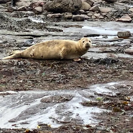Endways Holiday home Robin Hood's Bay