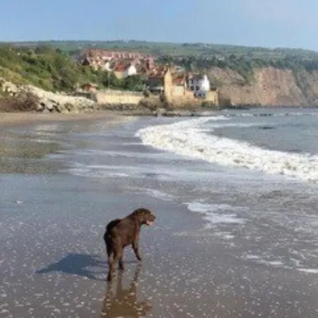 Endways Robin Hood's Bay