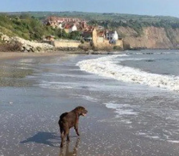 Endways Robin Hood's Bay